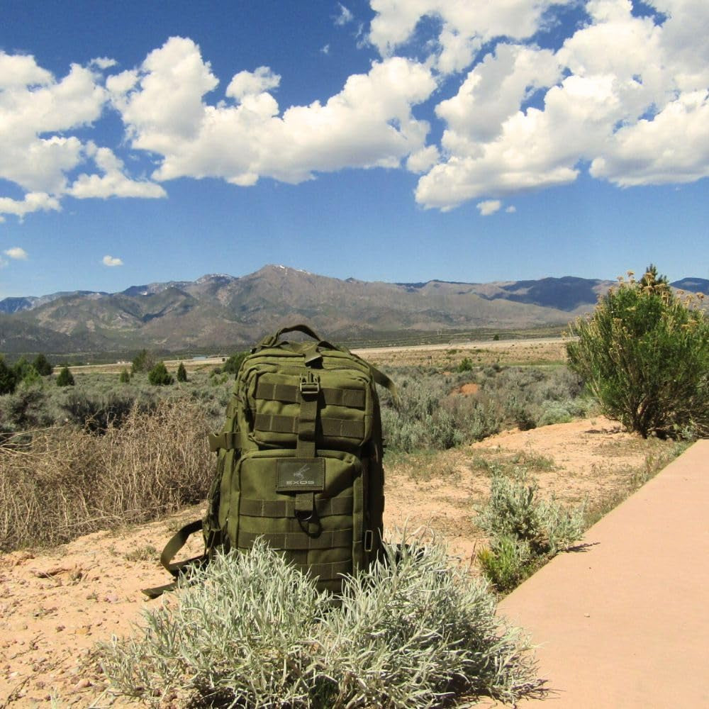 Bravo Backpack